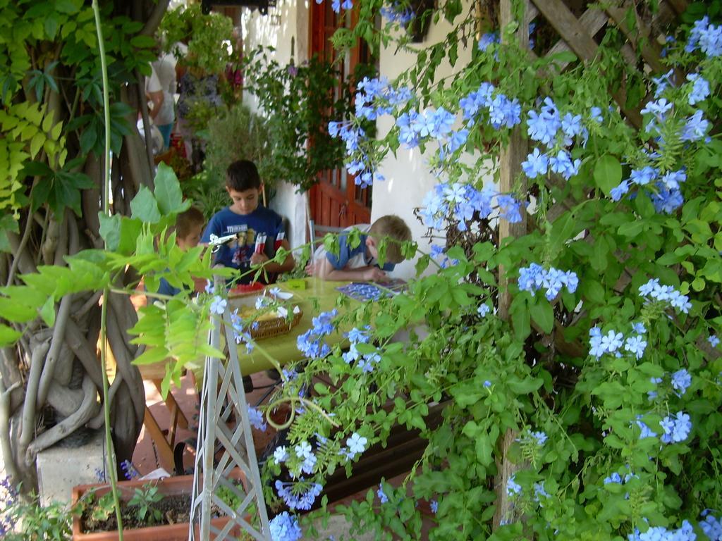 River Ebro Holidays Tivenys ภายนอก รูปภาพ